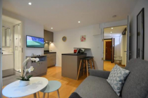 Studio Paquier Annecy hyper centre Old Town